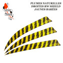 GATEWAY FEATHERS Plumes naturelles barrées RW Shield