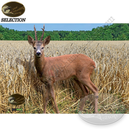 THS SELECTION Blason animalier chevreuil brocard avec zones vitales naturelles pour le tir à l'arc sur cible 2D