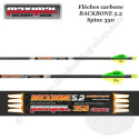 MAXIMAL BACKBONE 5.2 12 mounted carbon arrows for hunting and 3D shooting