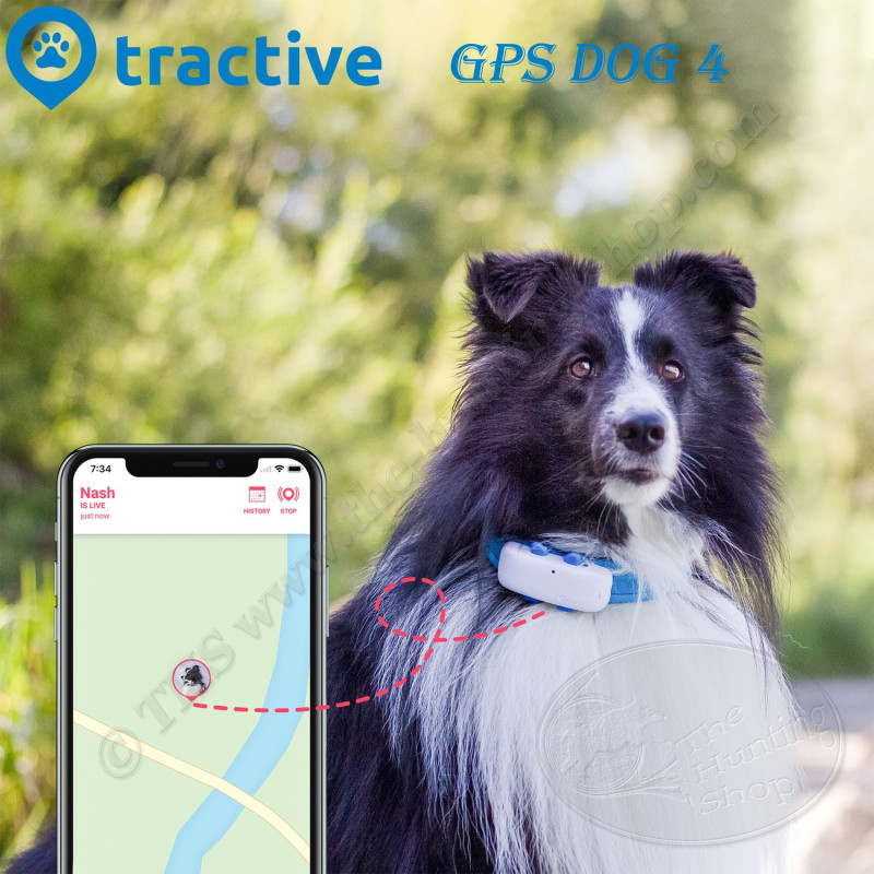Tractive collier GPS chien-suivi d'activité, traceur pour chien
