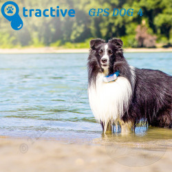 TRACTIVE GPS DOG 4 - Collare GPS per cani con activity tracker