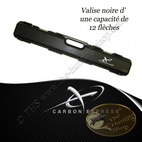 CARBON EXPRESS Black arrow case