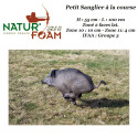 NATUR'FOAM 3D Small Boar foam racing target for archery