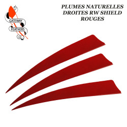 GATEWAY FEATHERS Plumes naturelles unies RW Shield