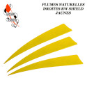 GATEWAY FEATHERS Piume naturali semplici Scudo RW