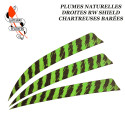 GATEWAY FEATHERS Plumes naturelles barrées RW Shield