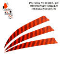 GATEWAY FEATHERS RW Shield piume barrate naturali