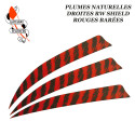 GATEWAY FEATHERS Durchgestrichene natürliche Federn RW Shield